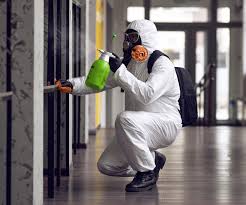 Environmental Consulting for Mold Prevention in Norman, OK